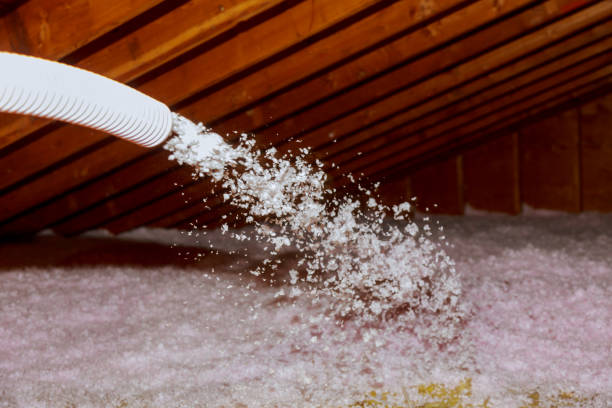 Types of Insulation We Offer in Carnation, WA