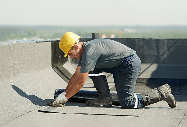 Trusted Carnation, WA Insulation Contractor Experts