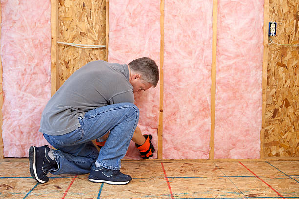 Best Insulation Maintenance and Repair in Carnation, WA